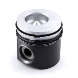 Piston & Rings