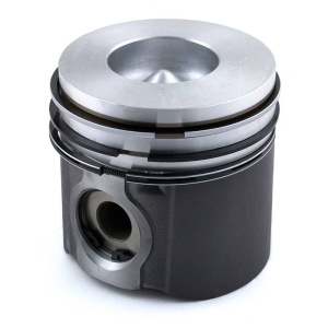 Piston & Rings