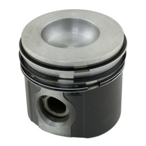 Piston & Rings