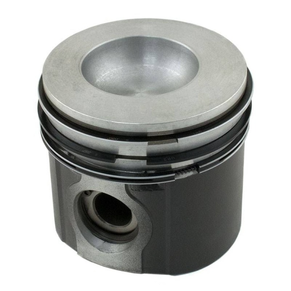 Piston & Rings