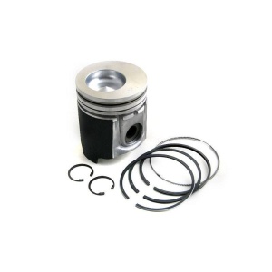 Piston & Rings