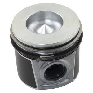 Piston & Rings (.25mm)