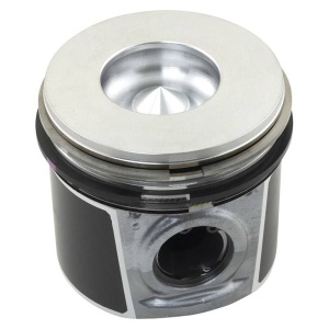 Piston & Rings (.25mm)