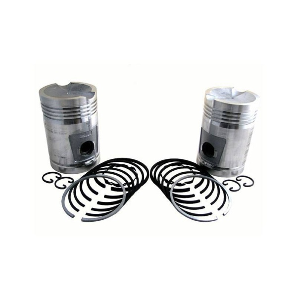 Piston & Rings