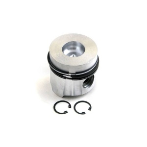 Piston & Rings
