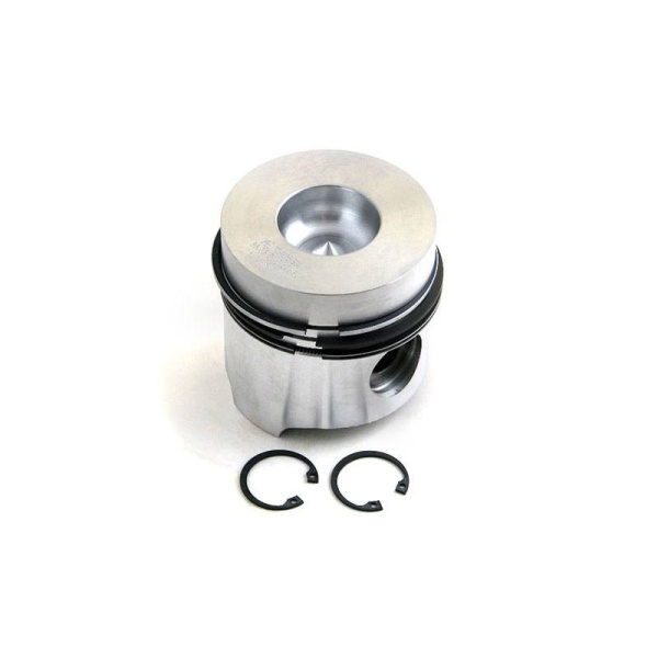 Piston & Rings