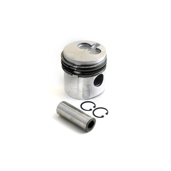 Piston & Rings