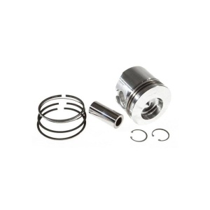 Piston & Rings