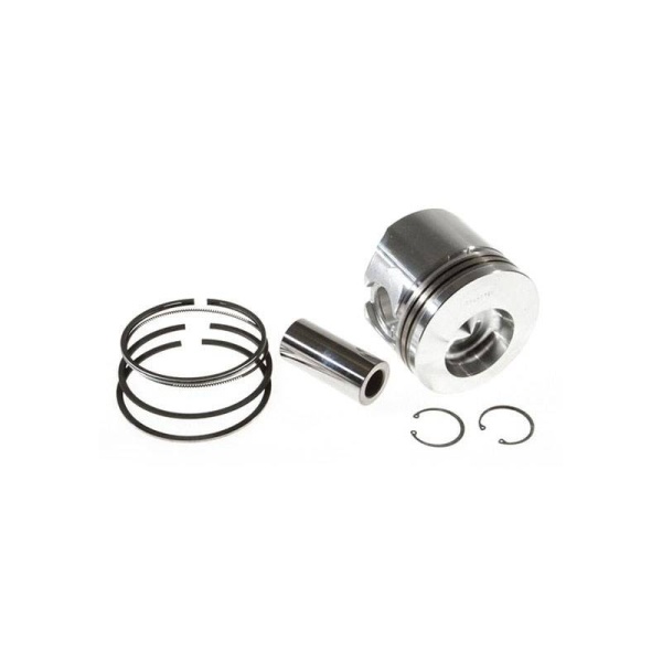 Piston & Rings