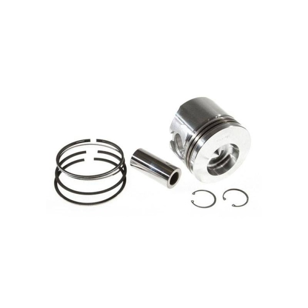 Piston & Rings