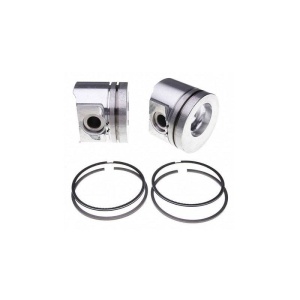 Piston & Rings