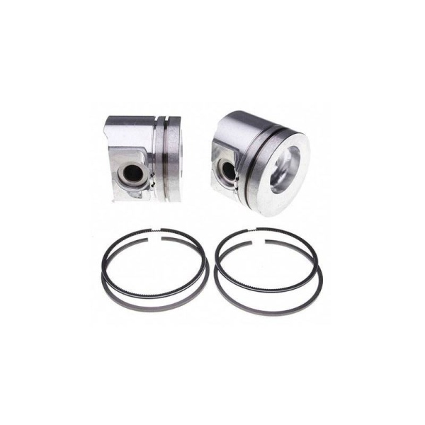 Piston & Rings