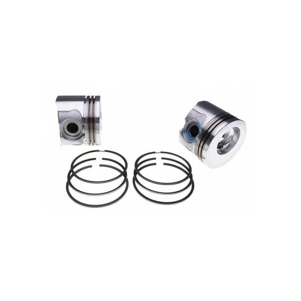 Piston & Rings