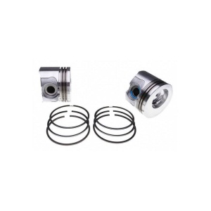 Piston & Rings