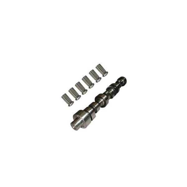 Cam & Lifter Kit