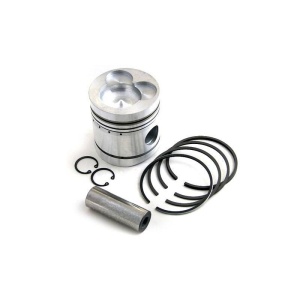 Piston & Rings
