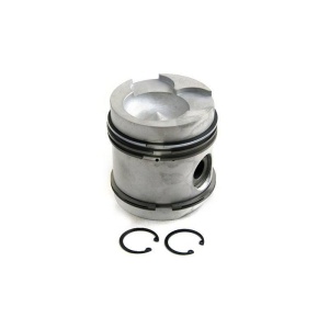 Piston & Rings