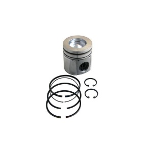 Piston & Rings