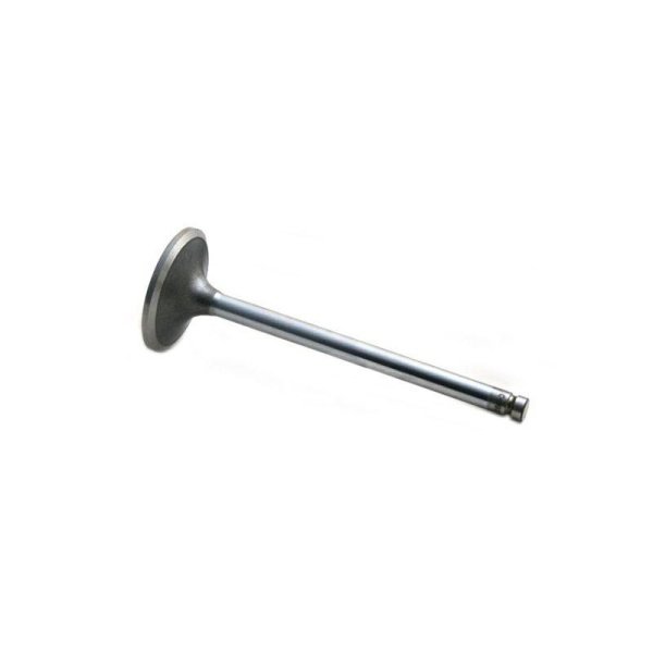 Intake Valve