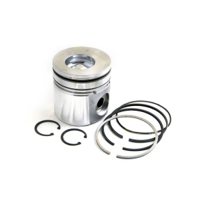 Piston & Rings