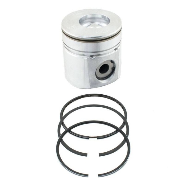 Piston & Rings