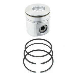 Piston & Rings