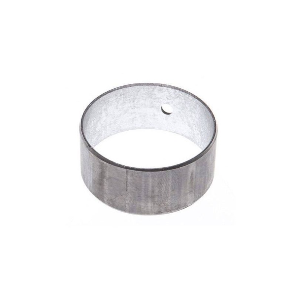 Cam Bearing