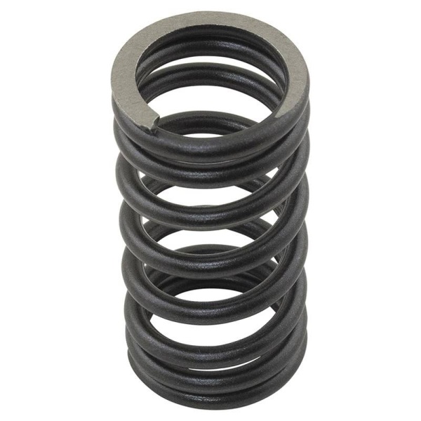 Valve Spring