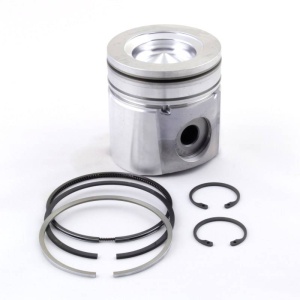 Piston & Rings