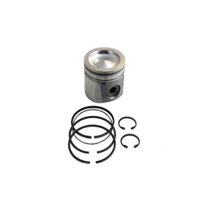 Piston & Rings
