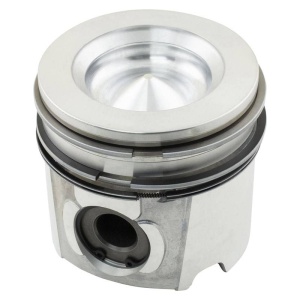 Piston & Rings