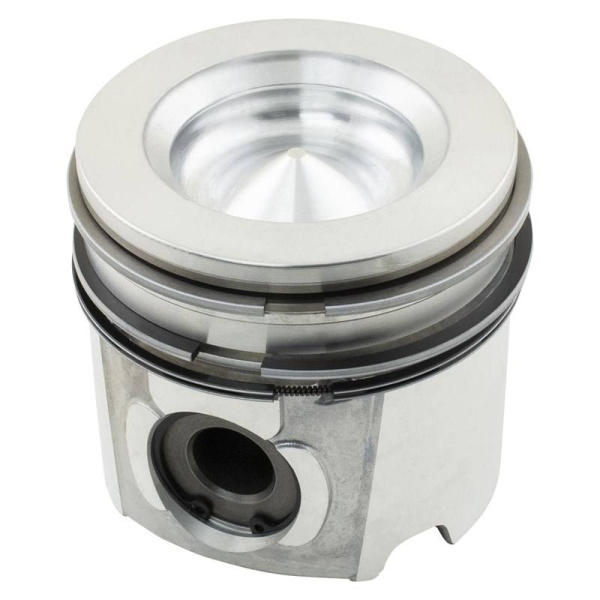 Piston & Rings
