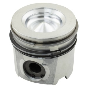 Piston & Rings