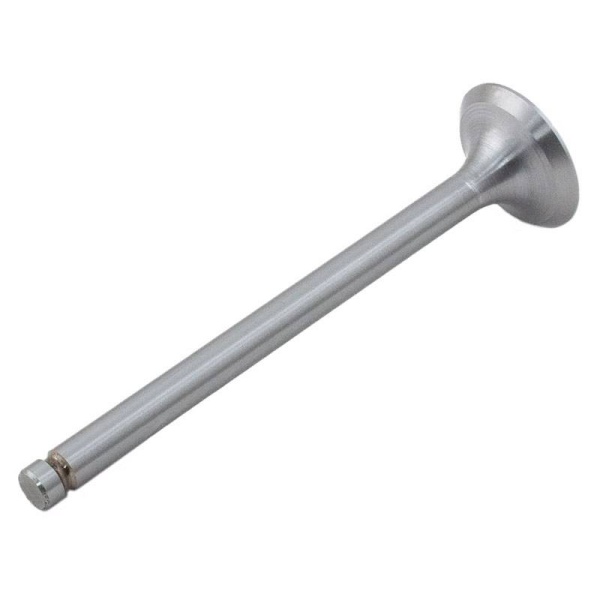 Exhaust Valve
