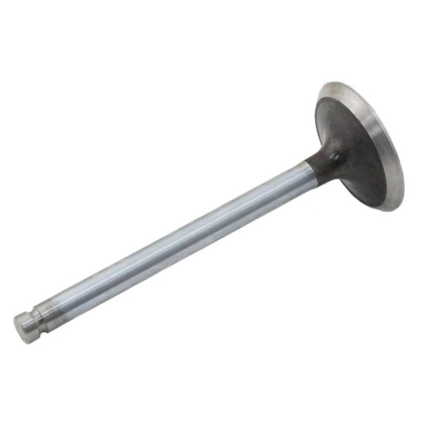 Intake Valve