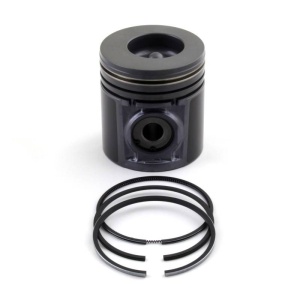 Piston & Rings