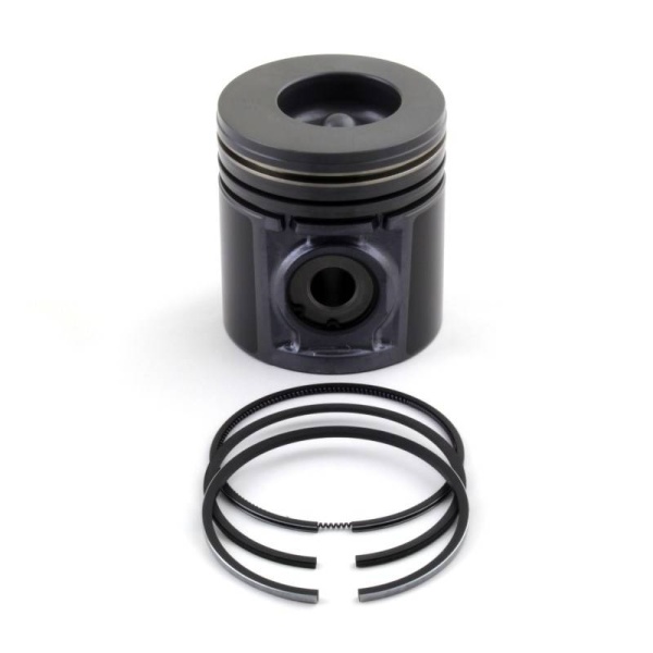 Piston & Rings