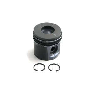 Piston & Rings