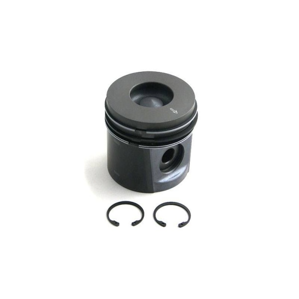 Piston & Rings