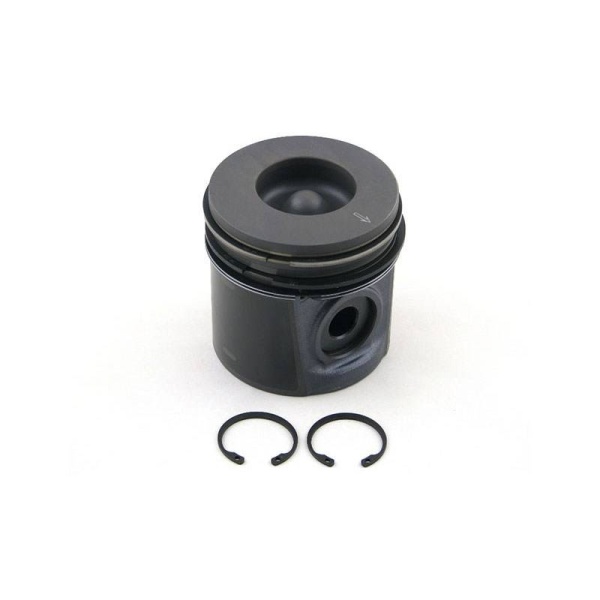 Piston & Rings