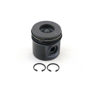Piston & Rings