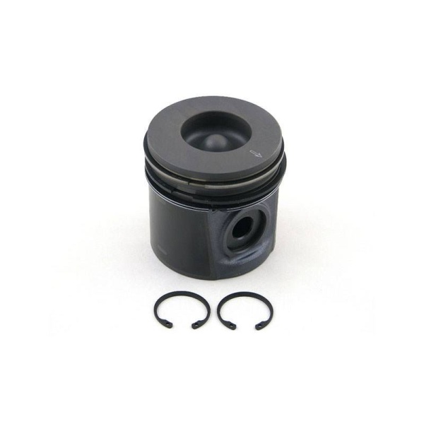 Piston & Rings