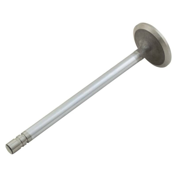 Intake Valve