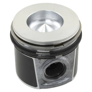 Piston & Rings (.25mm) 5030TT