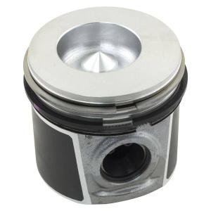 Piston & Rings (.25mm)