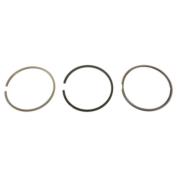 Piston & Rings