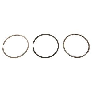 Piston & Rings