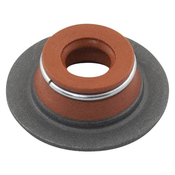Valve Seal