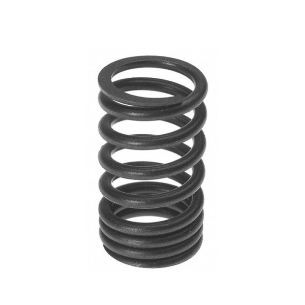 Valve Spring