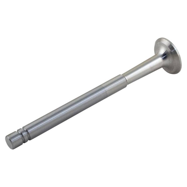 Exhaust Valve